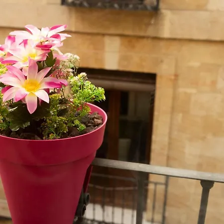 Pop-art, Junto A La Plaza Mayor, By My In Саламанка