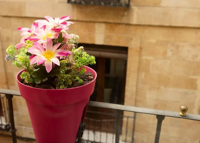 Pop-art, Junto A La Plaza Mayor, By My In Саламанка